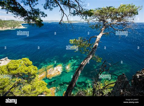 Hinking On The Sentier Du Littoral On The Presqu Le De Giens France