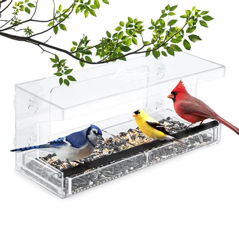 Buy Wild Birds of Joy Window Bird Feeder with 4 Super Strong Suction ...