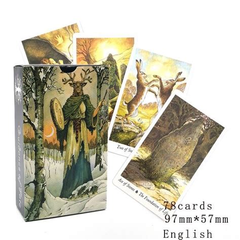 Cartes De Tarot Wildwood Pour D Butants Avec Guide Oracle Divination