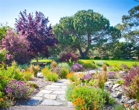 Landscaping with Lavender | 7 Garden Design Ideas