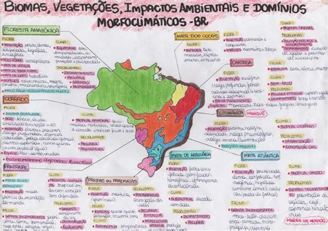 Biomas Vegeta O E Dom Nios Morfoclim Ticos Do Brasil Geografia