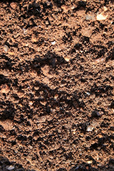 sandy soil  stock photo public domain pictures