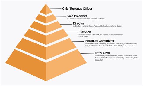 Job Titles The Definitive Guide Ongig