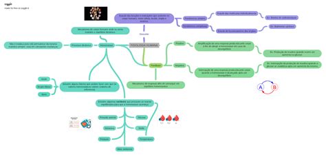 Mapa Mental Fisiologia Annita Antonia Fisiologia Humana Conceito