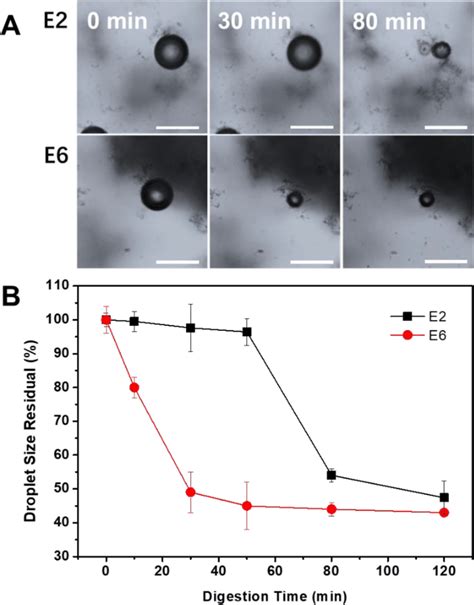 Optical Micrograph A And Evolution Of The Droplet Size B Of E1 And