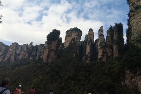 Tripadvisor Excursión privada de un día al Parque Forestal Nacional