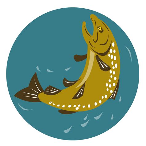 Spotted Trout Fish Jumping 13787348 Png