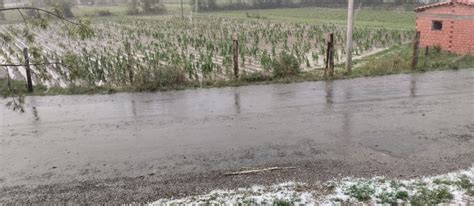 Granizada Sorpresiva Afecta Cultivos En Varias Comunidades De Tarija