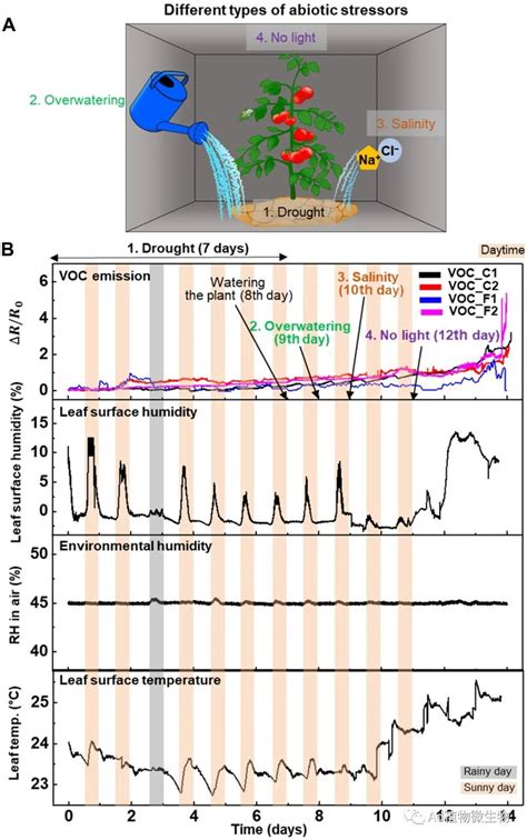 Science Advances 研究揭示多功能传感器可检测早期植物病害和作物威胁！ 知乎