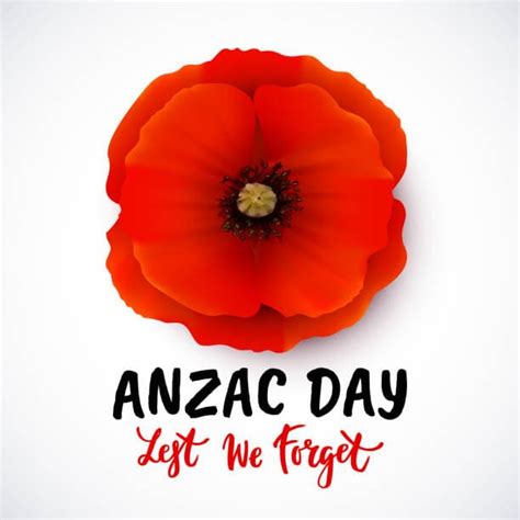 The Symbol of Remembrance: ANZAC Day Poppy