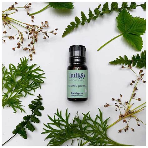 Eucalyptus Essential Oil By Indigo Herbs Glastonbury Eucalyptus Essential Oil Cinnamon