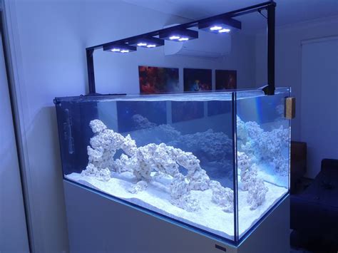 Brand New Pic Of My First Reef Tank Peninsula Reef2Reef