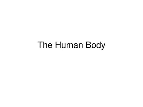 Ppt The Human Body Powerpoint Presentation Free Download Id 1701909