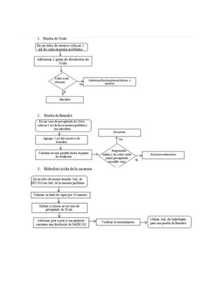 P 17 identificación de azúcares PDF