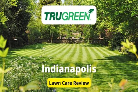 TruGreen Lawn Care In Indianapolis Review Lawnstarter