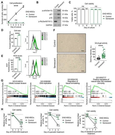 Ijms Free Full Text Targeting Multiple Homeostasis Maintaining