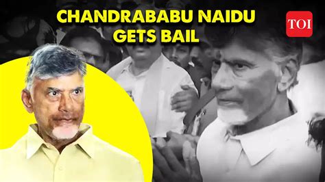 Skill Development Scam Case Former Andhra Pradesh Cm Chandrababu Naidu