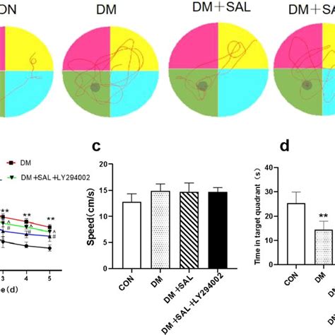 Salidroside Alleviated The Cognitive Impairment In Diabetic Mice A