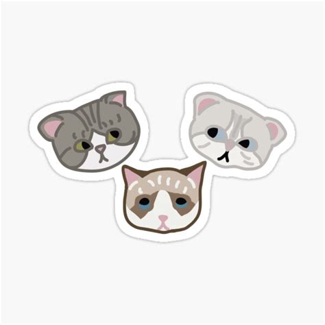 "Taylor Swift Cats #1" Sticker for Sale by 13-swiftie | Redbubble