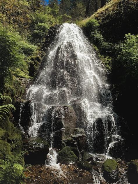 17 Best Waterfalls in Oregon You Can't Miss (Local's Guide)