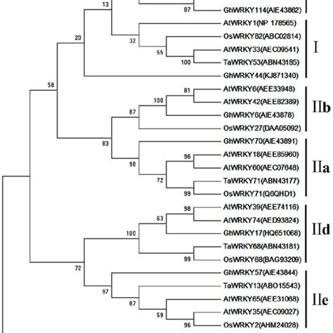 Phylogenetic Tree Of Cpwrky71 And Wrky Proteins From Other Plant