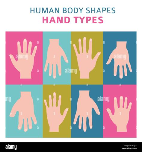 Human Body Shapes Hand Types Icon Set Vector Illustration Stock