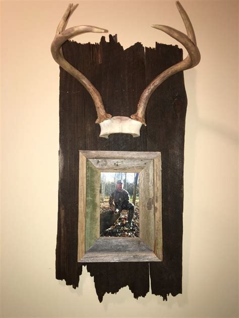 Antler Mount With Picture Deer Antler Decor Ideas Deer Hunting