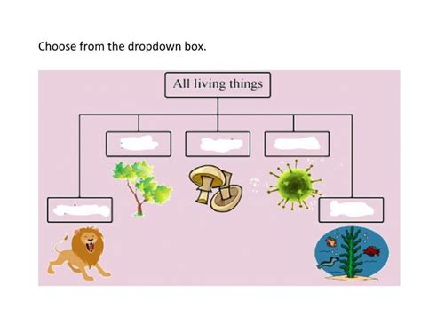 Five Kingdoms Of Living Things Worksheet School Subjects Montessori