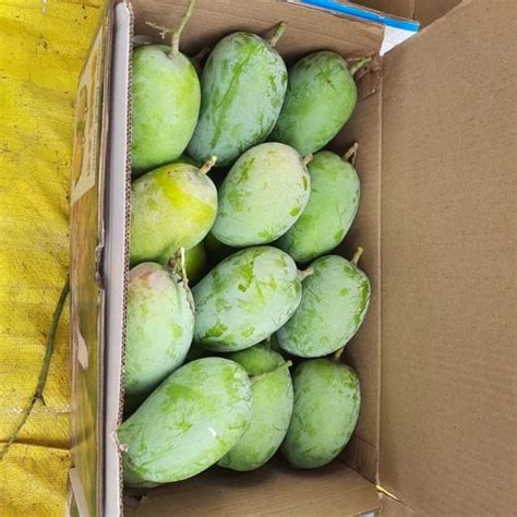 Green Organic Kesar Mango Carton Packaging Size 10 Kg At Rs 1500 Box