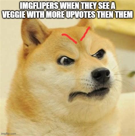 Confused Angery Doge Imgflip