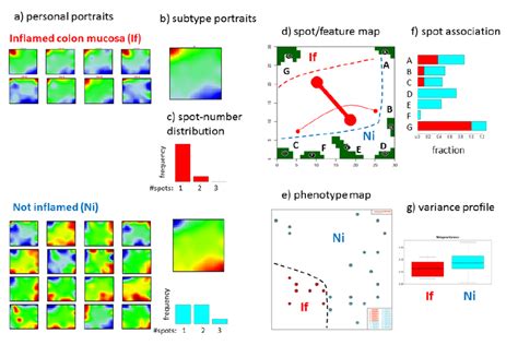 Som Portraying Of Gene Expression Landscapes Of Samples Of Inflamed And