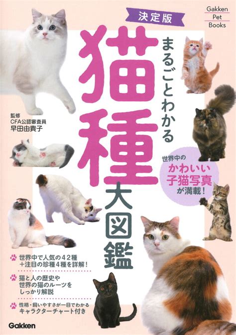 楽天ブックス 決定版 まるごとわかる 猫種大図鑑 早田由貴子 9784058020111 本