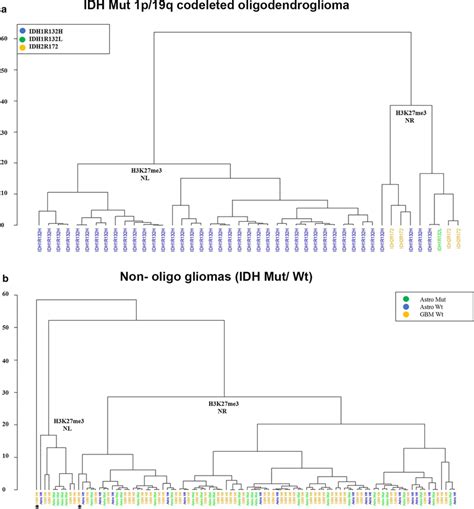 Hierarchical Clustering Based On The Average Intensity Score A