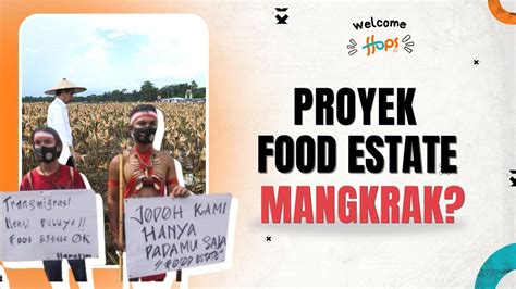 Miris Kondisi Proyek Food Estate Indonesia Kini Terbengkalai Youtube