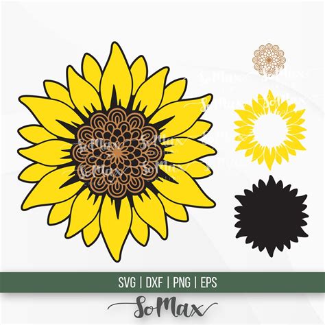 Sunflower Svg Sunflower Png Sunflower Mandala Svg Sunflower Etsy México