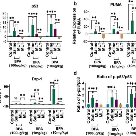 Melatonin Reduced Expression Of P53 And Mitochondrial Apoptosis