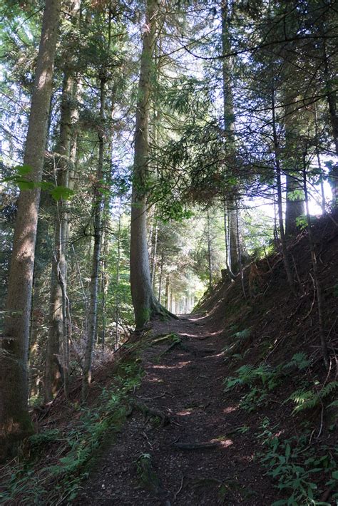 Wanderweg Langnau BE Hohwacht Langnau Im Emmental Kurt Zwahlen