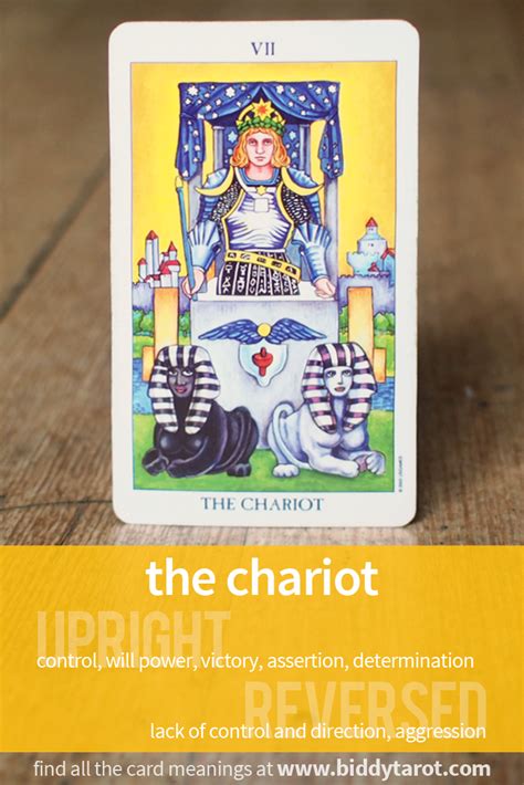 Nine Of Pentacles Tarot Card Meanings Artofit