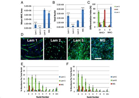 Laminin 521 Is The Only Substrate Capable Of Maintaining Download