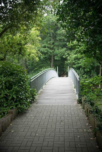 Jembatan Minum Pohon Foto Gratis Di Pixabay Pixabay