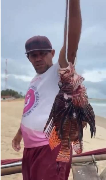 Pescador Potiguar Captura Peixe Le O No Litoral Do Rn