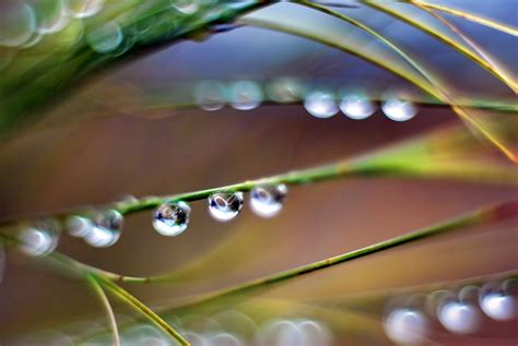 Fondos De Pantalla Macro Agua Gotitas Gotas Dof Nikkor Mm