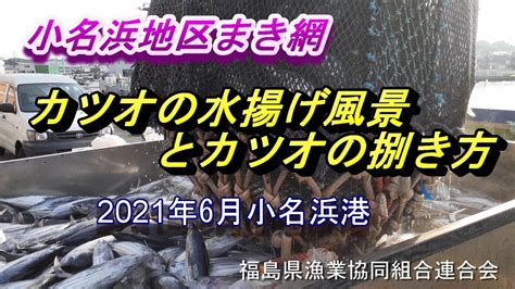 福島県小名浜港のカツオの水揚げ風景 Youtube