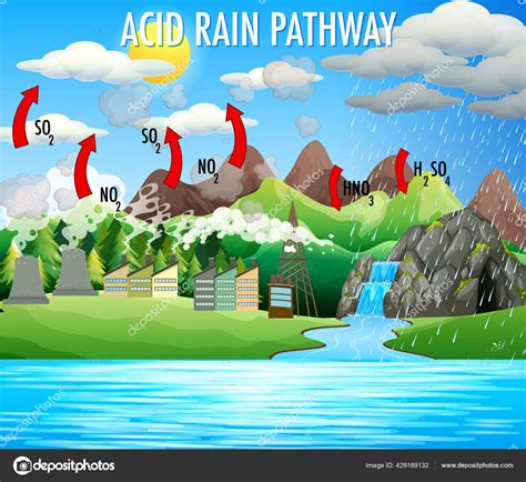 Diagrama Que Muestra Ilustración Vía Lluvia Ácida Vector Gráfico