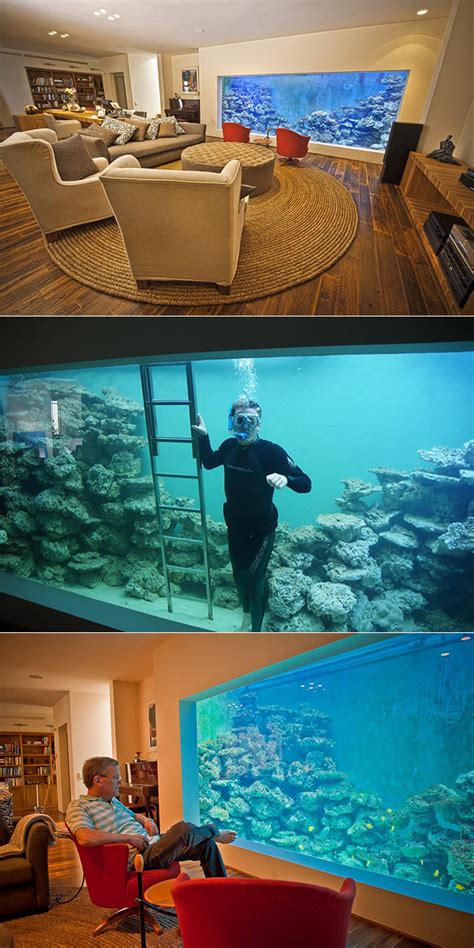 Man Builds Largest Home Reef Aquarium Can Hold 30000 Liters Of Water