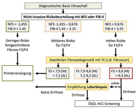 Diagnostischer Algorithmus zur Abklärung der NAFLD gemäß der S2k