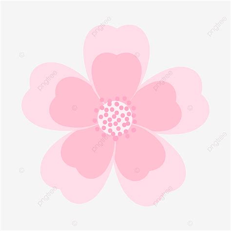 White Flower Pink Hand Drawn Cherry Blossom Flowers Pink Petal