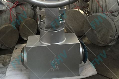 Pressure Seal Globe Valve Globe Valves Shanghai Yuangao Valves Industry Group Co Ltd