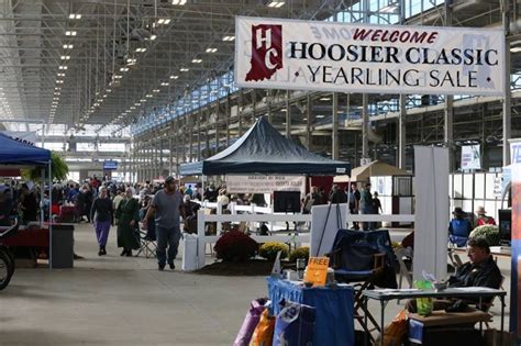 Prices Hold Steady At Hoosier Classic Yearling Sale