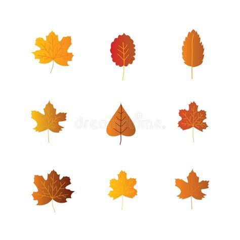 Colorful Autumn Leaves Set Isolated On White Background Vector